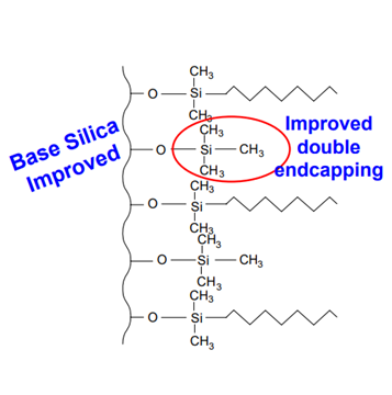 Double endcapped HPLC column illustration